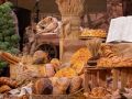 harvest new hope  